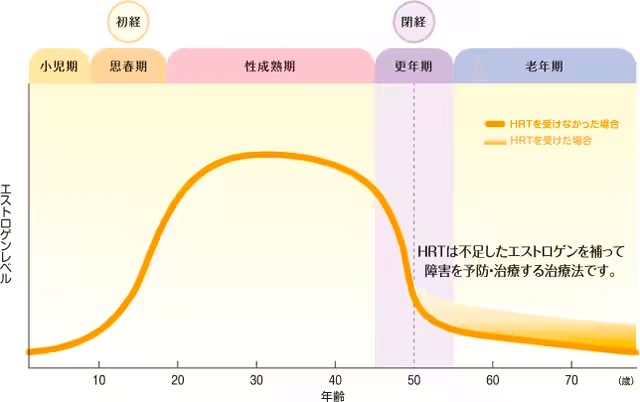 エストロゲンレベルの変化